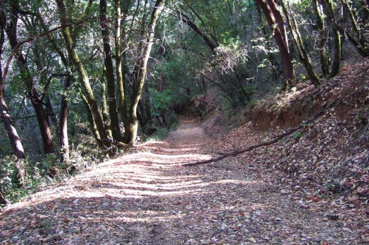 Adobe Trail descends to Adobe Creek.