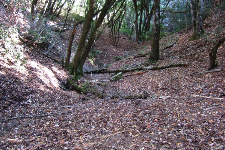 Headwaters of Adobe Creek.