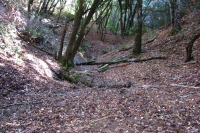 Headwaters of Adobe Creek.