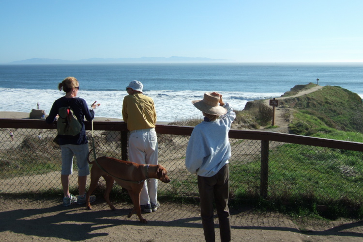 Watching the surf off East Cliff Drive.