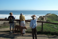 Watching the surf off East Cliff Drive.