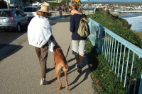 Walking back to the Boardwalk on West Cliff Drive.