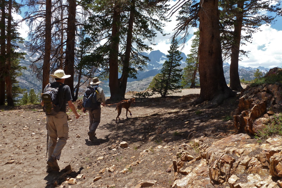 Jack, Brian, and Bill head toward a view spot.