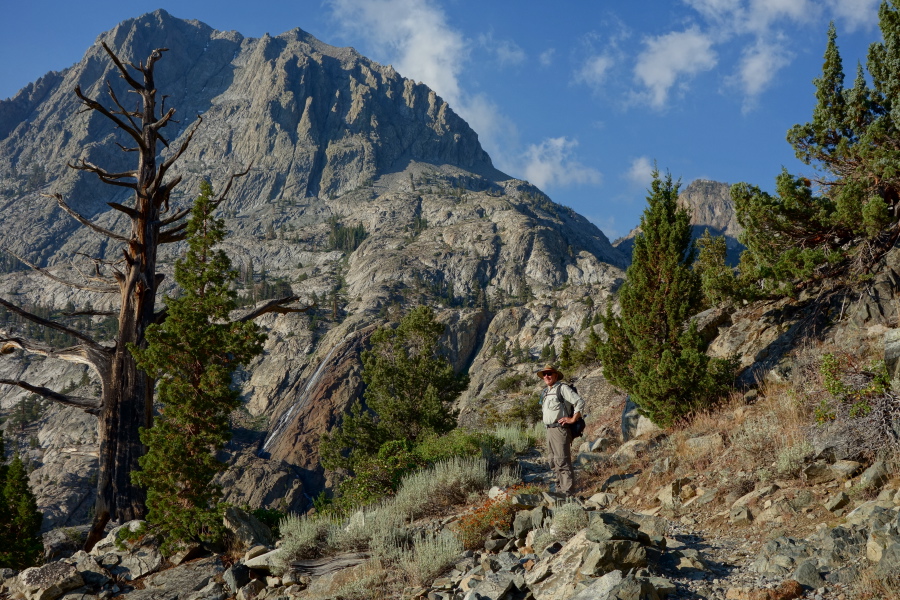An old snag stands below Carson Peak