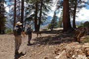 Jack, Brian, and Bill head toward a view spot.