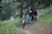 Here they come: Jack, Laura, Bill, and David