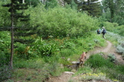 Jack leaps ahead to keep everyone together.