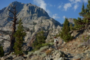 An old snag stands below Carson Peak