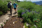 One of many stream crossings on the High Trail