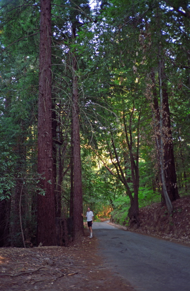 Bill near the top of Mountain Charlie Rd.