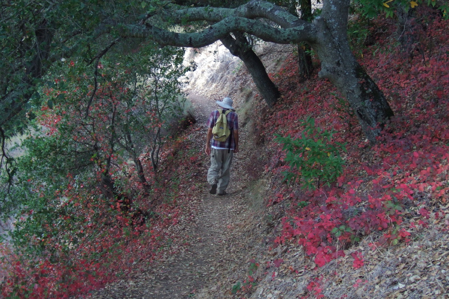 David on New Almaden Trail