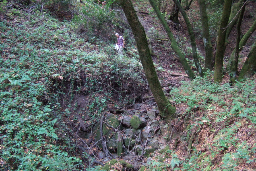 David on New Almaden Trail