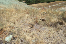 A screwdriver marks the spot: the top of Mine Hill, highest point in the park at 1728 feet.
