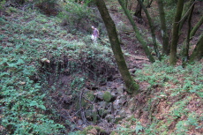 David on New Almaden Trail