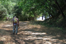 David on the final climb up to English Camp