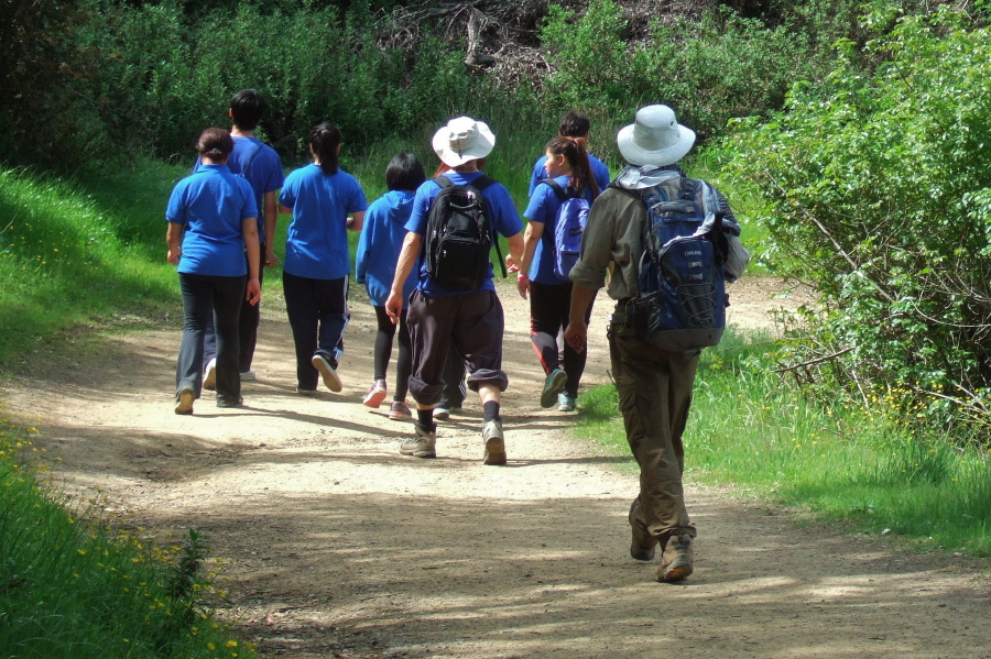 Frank rushes to join the Blue Shirts.