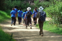 Frank rushes to join the Blue Shirts.