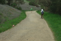 An unusual pink flower grows by the trail.