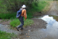 Frank makes the only stream crossing of the day.