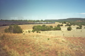 Previous