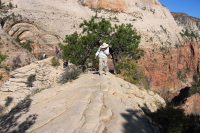 David on the summit of Angel's Landing.