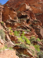 Previous