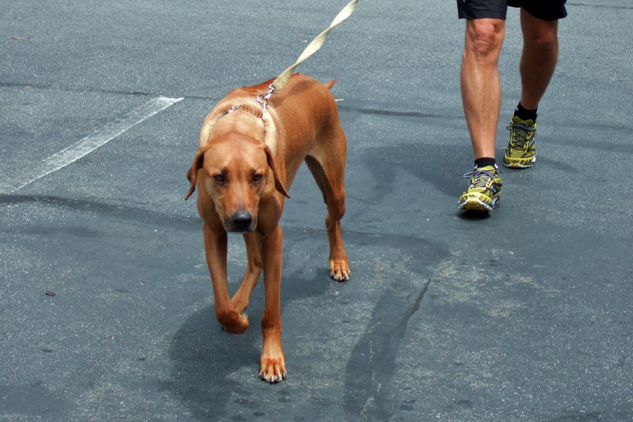 Kumba recognizes me.