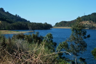 A nearly full Lexington Reservoir, unusual for August