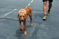 Kumba recognizes me.