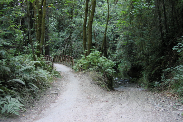 Bridge or Ford? (340ft)