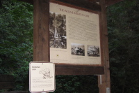 Base of the old Incline Railroad Line.  (350ft)