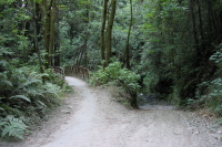 Bridge or Ford? (340ft)