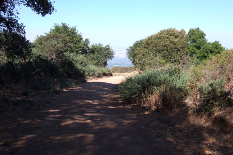 Descending the Aquinas Trail. (3)