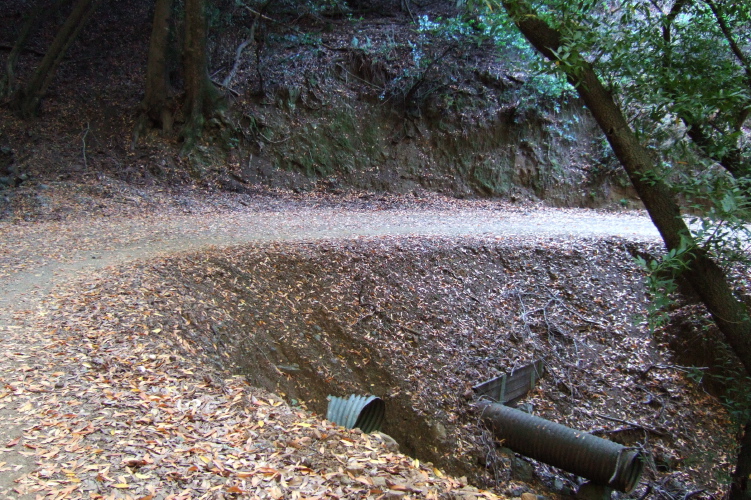 Near the bottom of the Aquinas Trail.