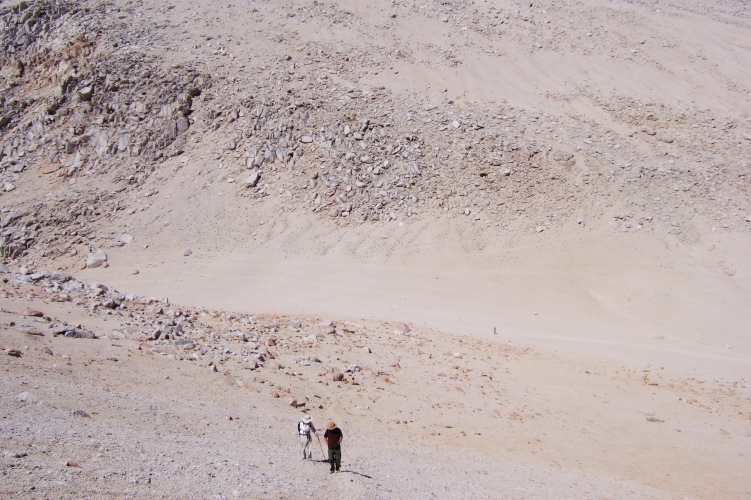 David and Ron follow Bill up the use-less trail.