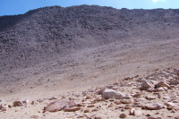 Use-less trail up Mt. Starr.