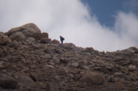 Hiker on the ridge of Mt. Starr.