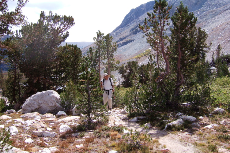 David hiking up the use trail alongside the creek flowing from the Conness Lakes.