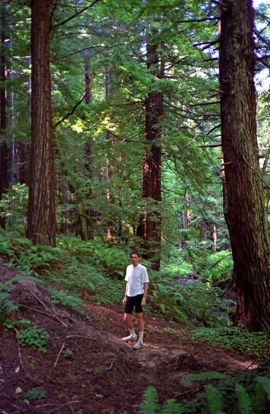 Bill in the forest along Tunitas Creek Rd. (1)
