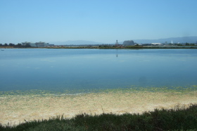 At the north end of the runways