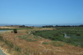 Entering Byxbee Park