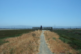 Frank reaches the end of the trail.