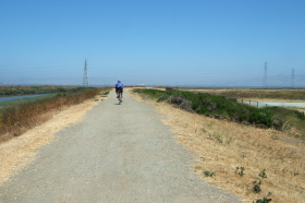 Frank crosses the end of the runway.