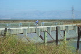 Frank crosses the spillway on the Bay Trail.