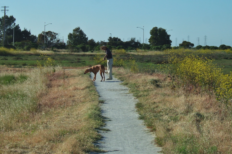 Kumba sees a movement in the grass.