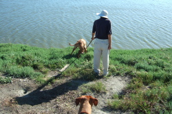 Kumba investigates a squirrel hole; Jack looks on.