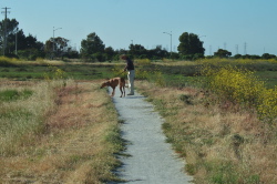 Kumba sees a movement in the grass.