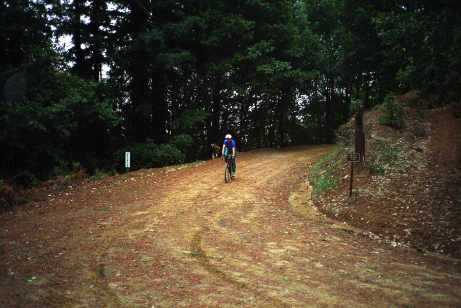 Brent reaches the top of Johansen Rd.