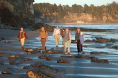 The group walks along the beach exposed at low tide near Capitola.
