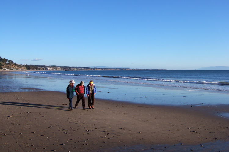 Beach walk near New Brighton State Beach.